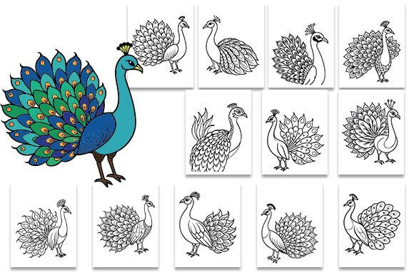 Peacock Coloring Pages: Creative Fun for All Ages